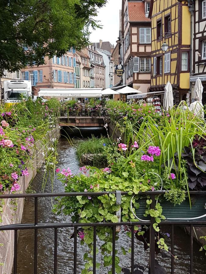 Apartament Les Colombages Colmar Zewnętrze zdjęcie